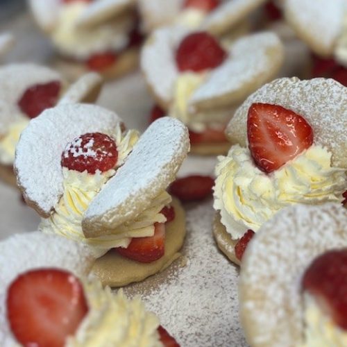 532216391_1644568253536658_63400197738893050_n